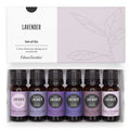 Edens Garden Lavender Essential Oils 6 Set - Pure Therapeutic Grade Aromatherapy (10 ml x6)