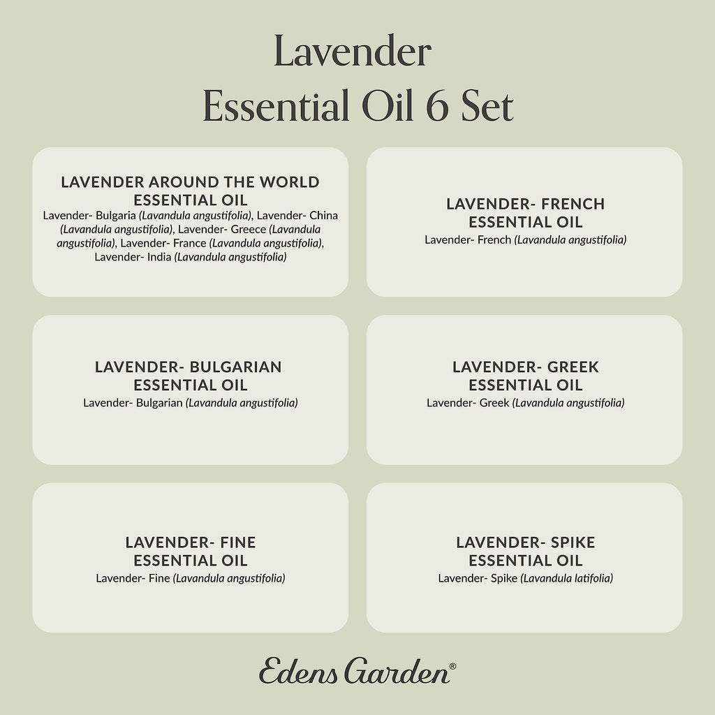 Edens Garden Lavender Essential Oils 6 Set - Pure Therapeutic Grade Aromatherapy (10 ml x6)