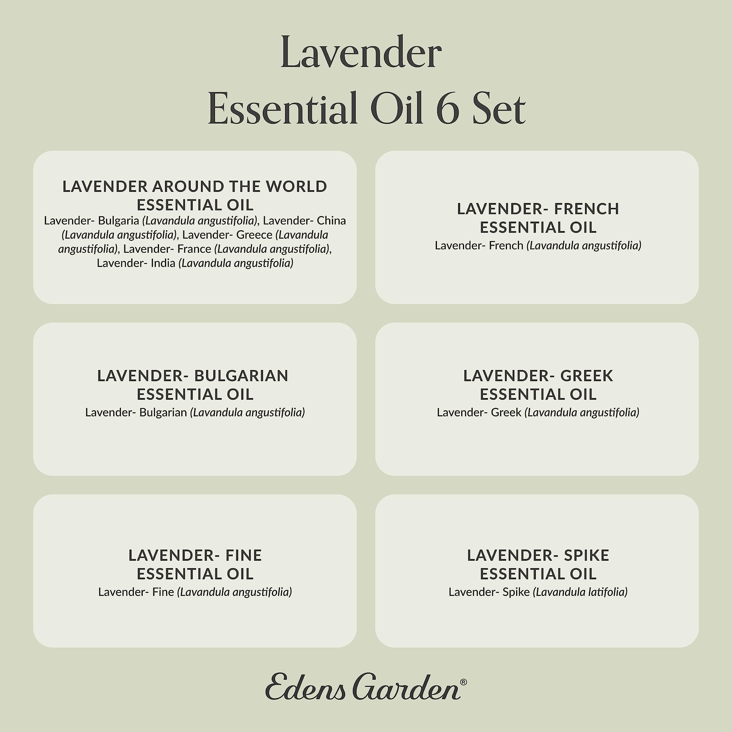Edens Garden Lavender Essential Oils 6 Set - Pure Therapeutic Grade Aromatherapy (10 ml x6)