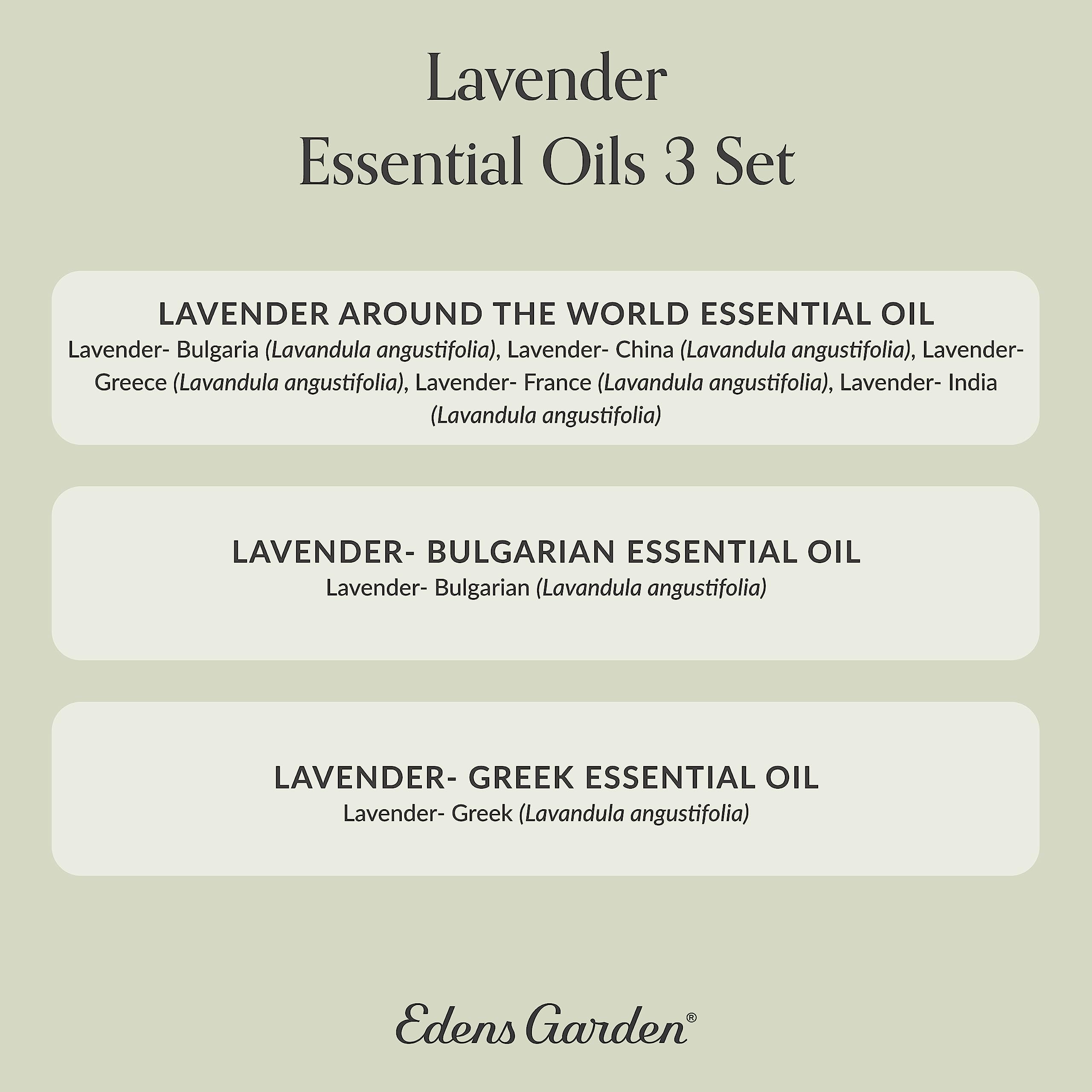 Edens Garden Lavender Essential Oils 3 Set – 100% Pure Therapeutic Grade, 10 ml