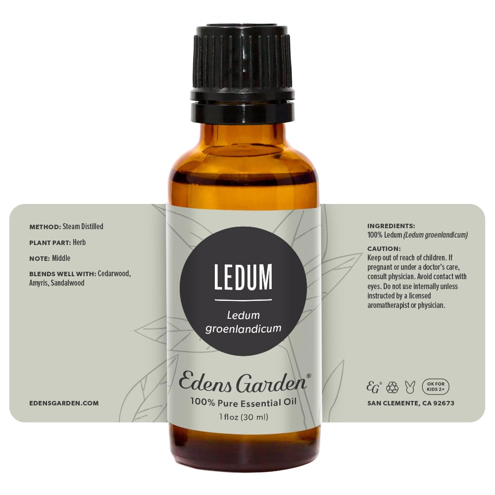 Edens Garden Ledum Essential Oil – 100% Pure, Premium Grade, 30 ml