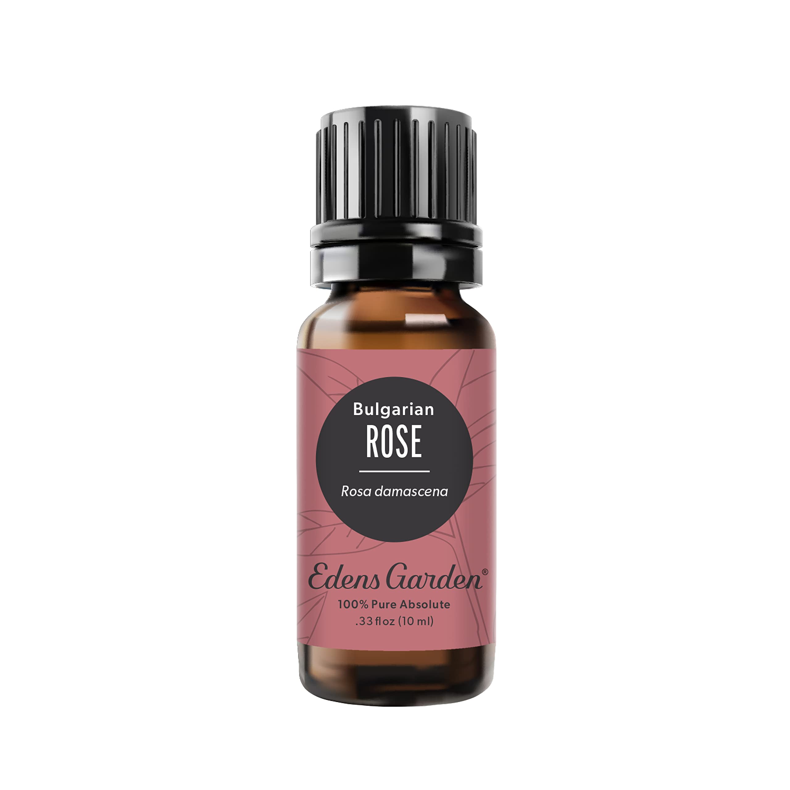 Edens Garden Rose Bulgarian Absolute Essential Oil - 100% Pure, Premium Grade, 10 mL