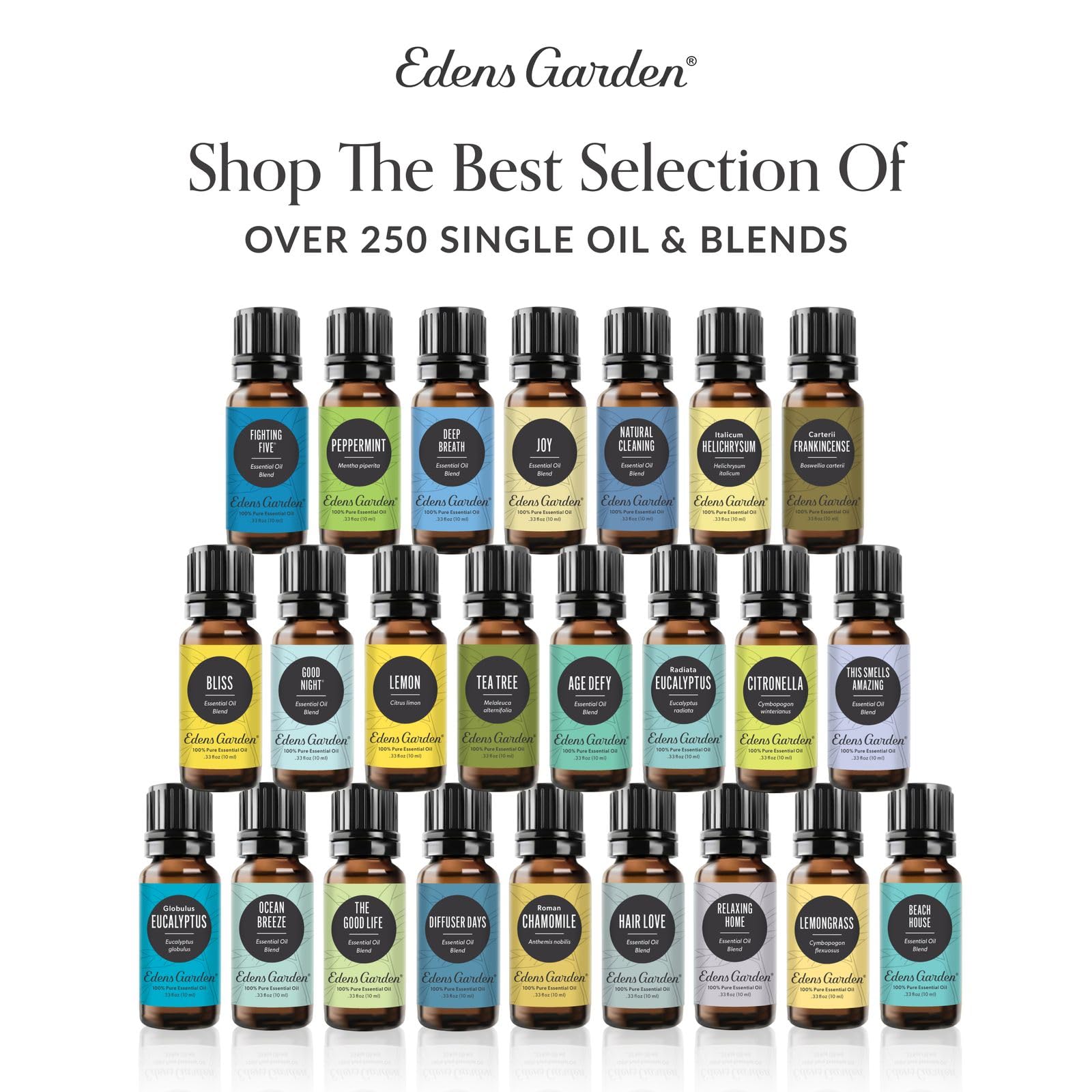 Edens Garden Rose Essential Oil Blend – 100% Pure Therapeutic Grade | Aromatherapy