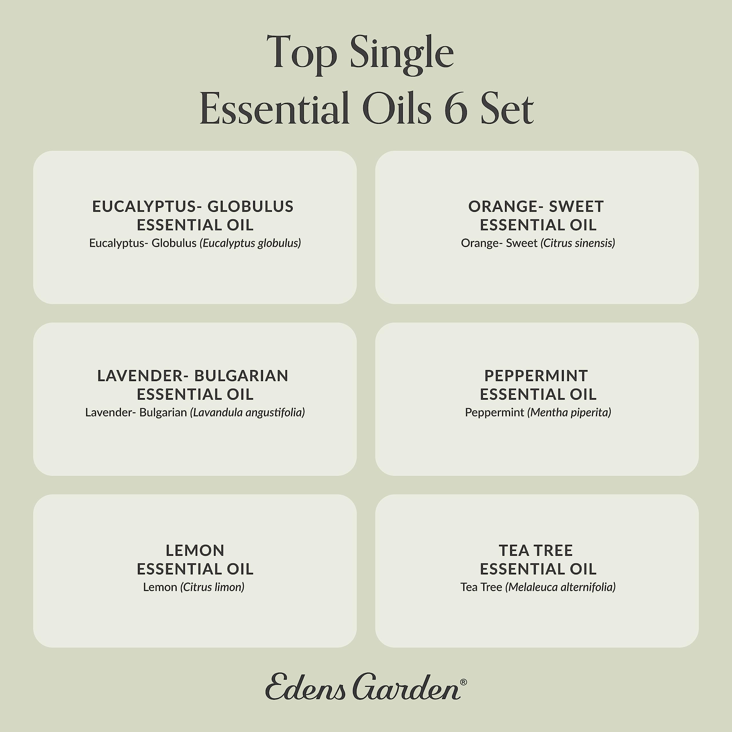 Edens Garden 6-Set Essential Oils – 100% Pure Therapeutic Grade (10 ml each): Lavender, Peppermint, Eucalyptus, Tea Tree, Lemongrass, Sweet Orange