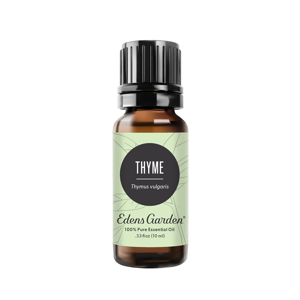 Edens Garden Thyme Essential Oil – 100% Pure, Premium Grade, Undiluted (10 ml)