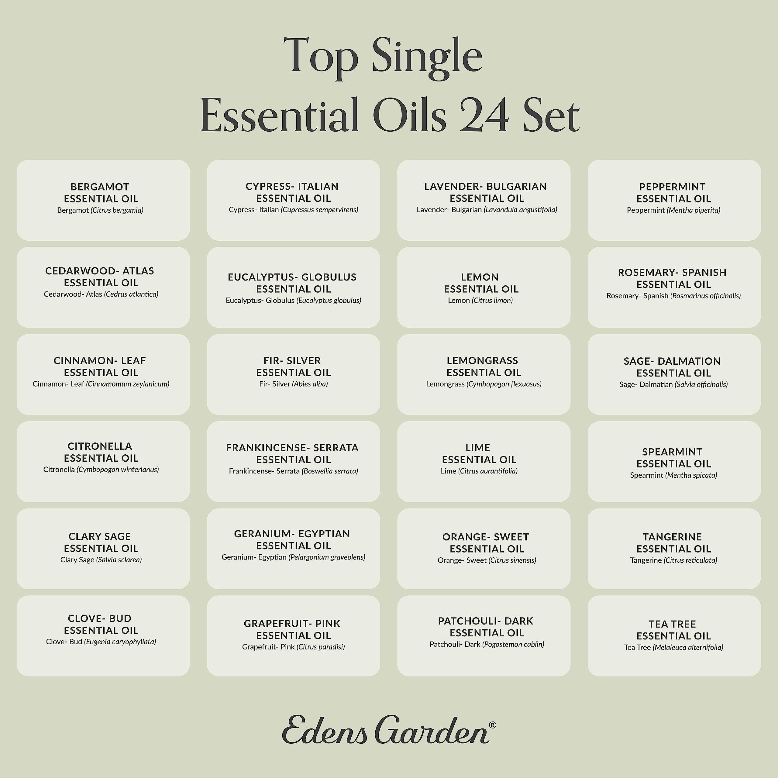 Edens Garden Essential Oils Top 24 Set – 24 x 10 ml, 100% Pure Therapeutic Grade