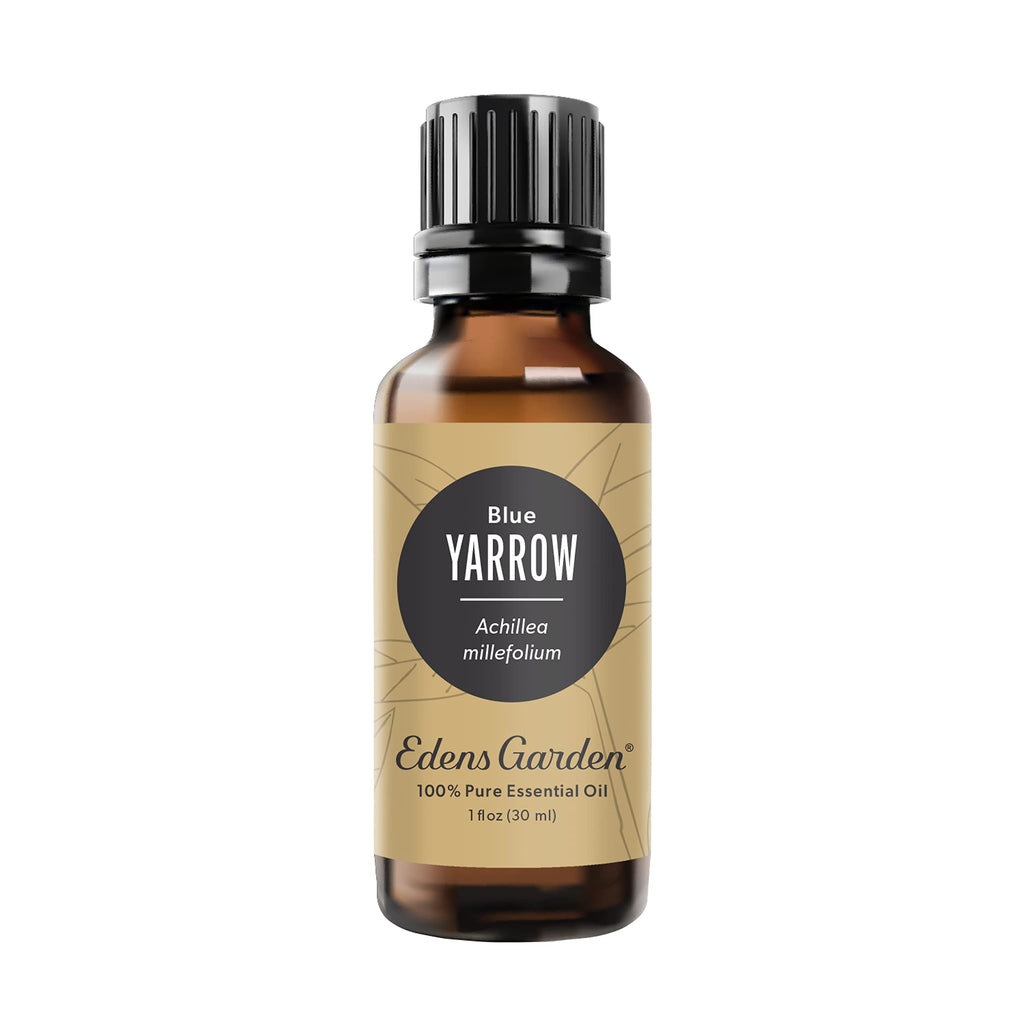 Edens Garden Yarrow-Blue Essential Oil – 100% Pure Premium Grade, 30 ml