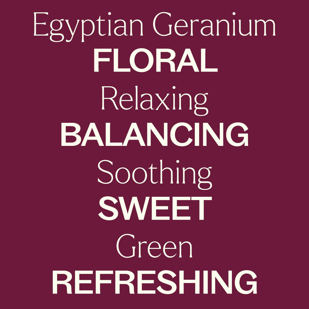 Plant Therapy Egyptian Geranium Essential Oil – 100% Pure, Therapeutic Grade, 10 mL