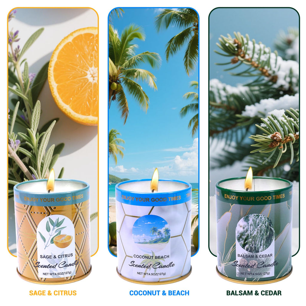 Sage & Citrus, Coconut Beach, Balsam & Cedar 3-Pack Aromatherapy Candle Sets | 8% Essential Oil, 75H Long Burning Soy Wax Scented Candle for Relaxation, Sleep Smoke-Free | Gift for Women and Men