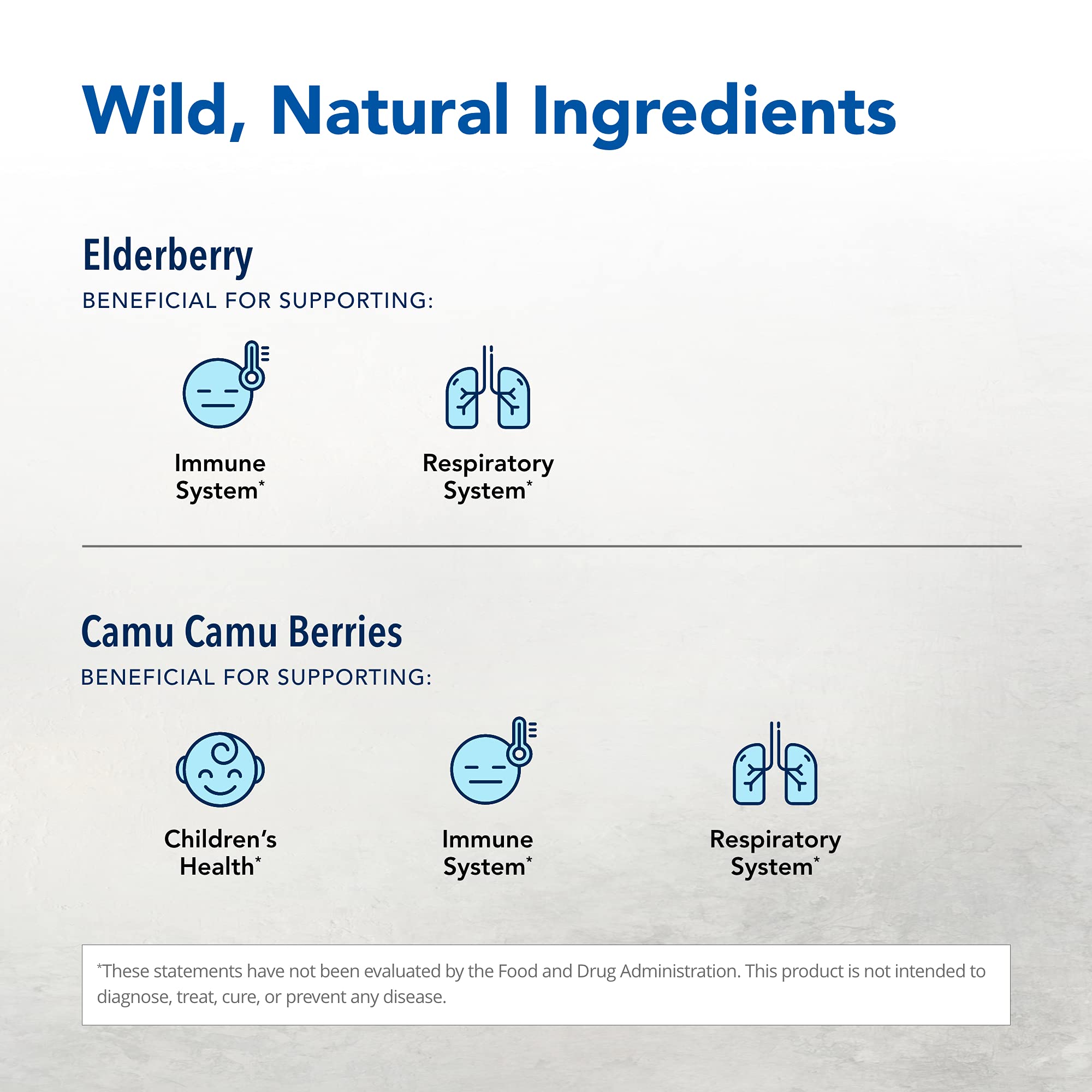 Elder-C Elderberry Concentrate 60 Caps - Immune Support - Oreganol P73 - Non-GMO & Gluten Free