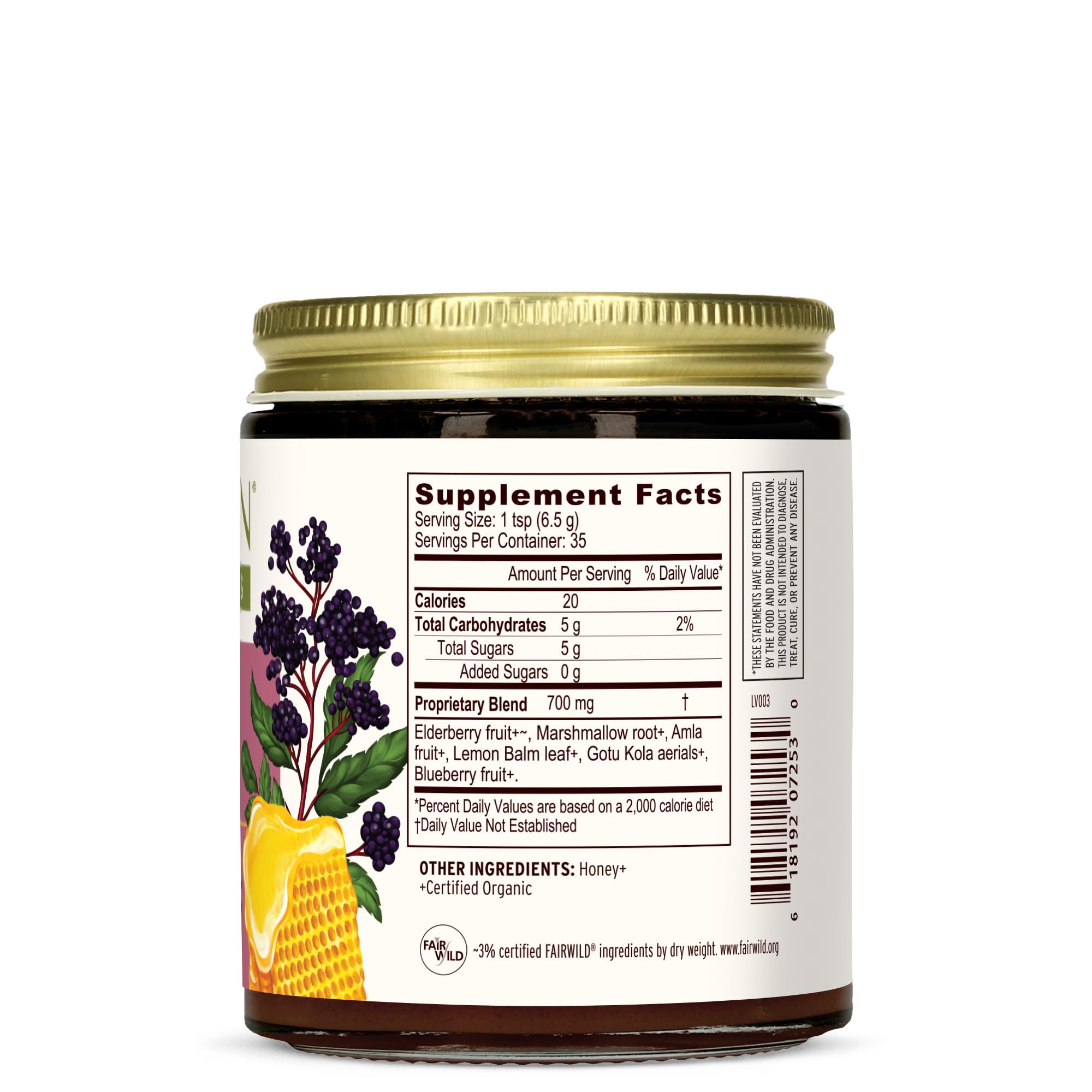 Banyan Botanicals Organic Elderberry Honey – Immune Support for Kids & Adults (8.25 oz)