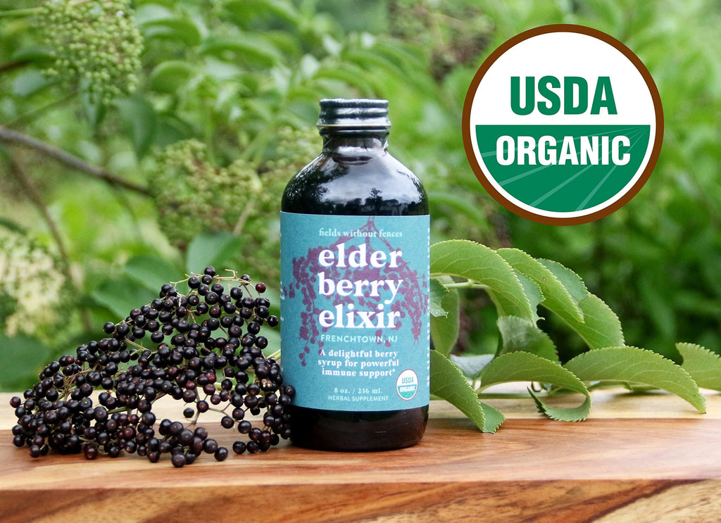 Fields Without Fences Elderberry Elixir – Immune Support for Adults & Kids | Organic, Farm-Fresh Elderberry Syrup | Made in the USA (4 oz)