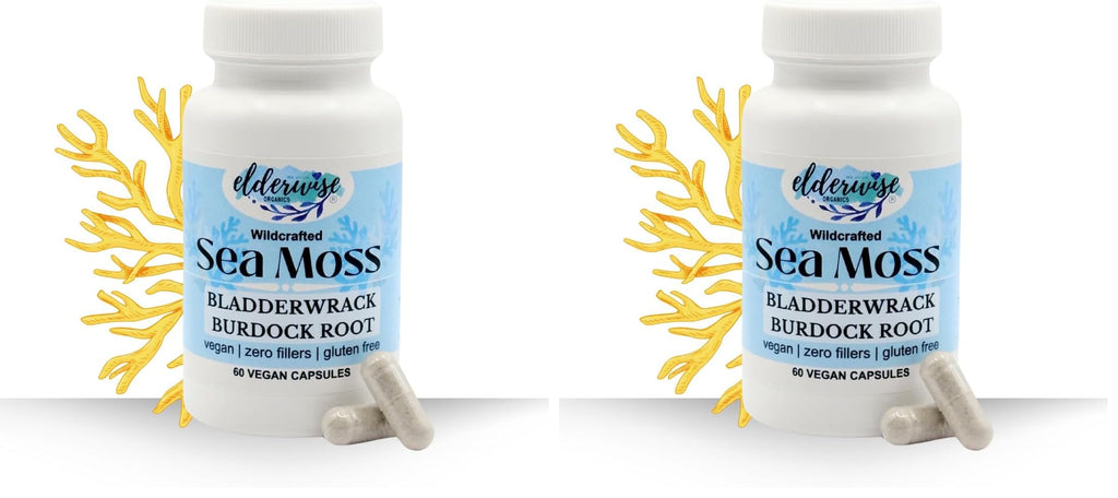 Elderwise Sea Moss Capsules 1400 mg - Burdockroot & Bladderwrack (Pack of 2)