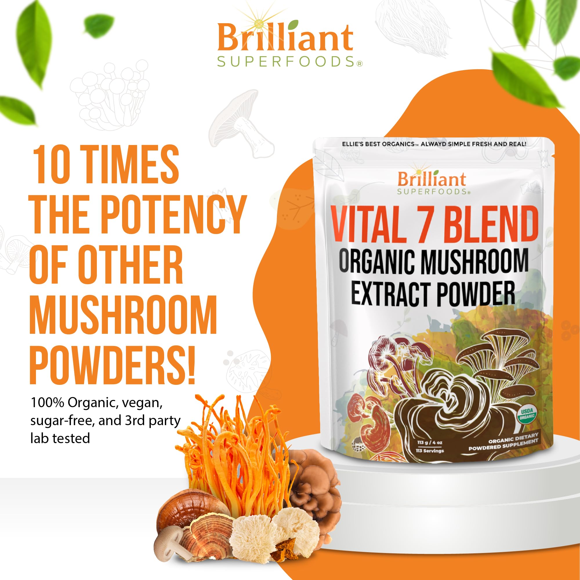 Ellie's Best 7 Mushroom Powder Extract Blend – Organic Reishi, Lion's Mane, Chaga, Turkey Tail, Cordyceps, Maitake & Shiitake – Double Extracted – 16oz / 456 Servings