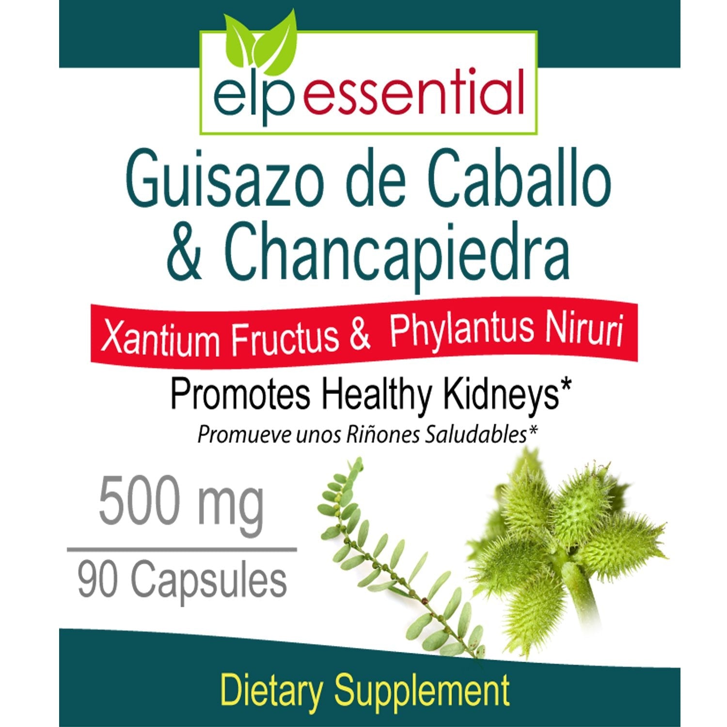 ELP ESSENTIAL Guisazo de Caballo & Chancapiedra 500 mg - 90 Capsules Pack of 2 | Promotes Healthy Kidneys