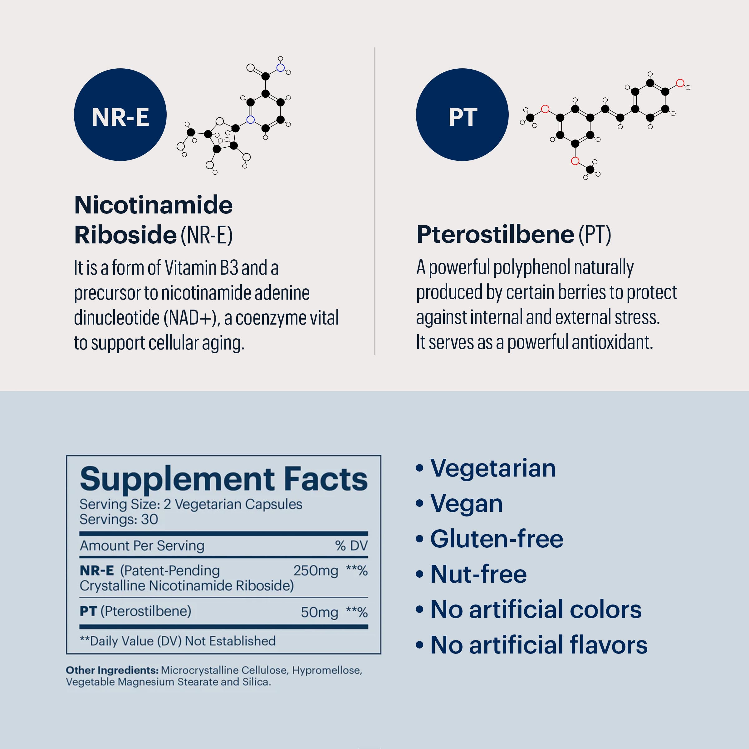 ELYSIUM Basis NAD+ Supplement — 30 Servings | NR 250mg + Pterostilbene 50mg