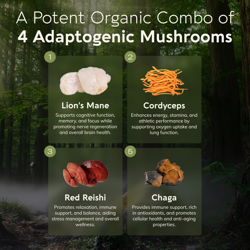 Organic Emperor 4 Mushroom Blend 100g – Fruiting Body Extract | Lions Mane, Cordyceps, Chaga & Reishi