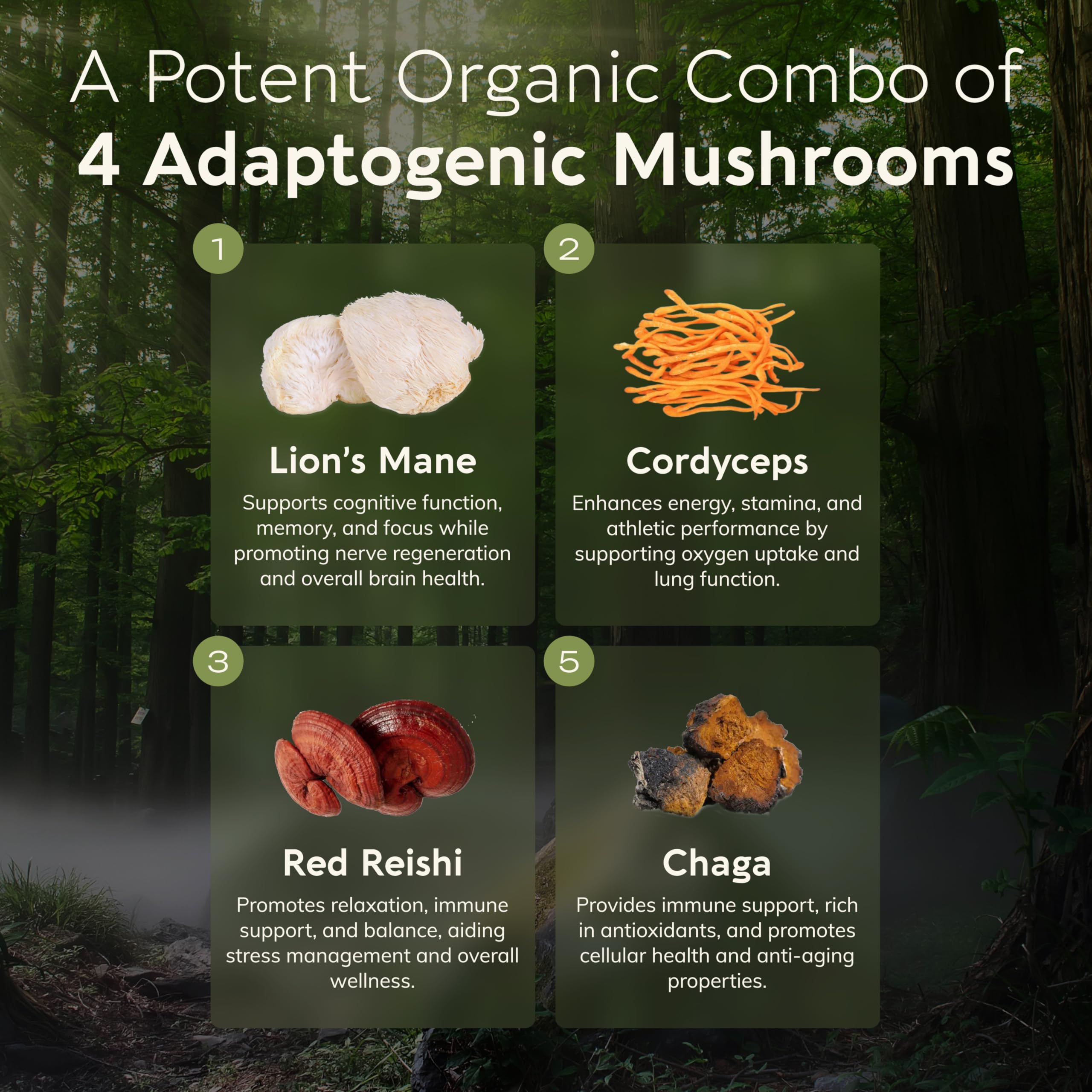 Organic Emperor 4 Mushroom Blend 100g – Fruiting Body Extract | Lions Mane, Cordyceps, Chaga & Reishi
