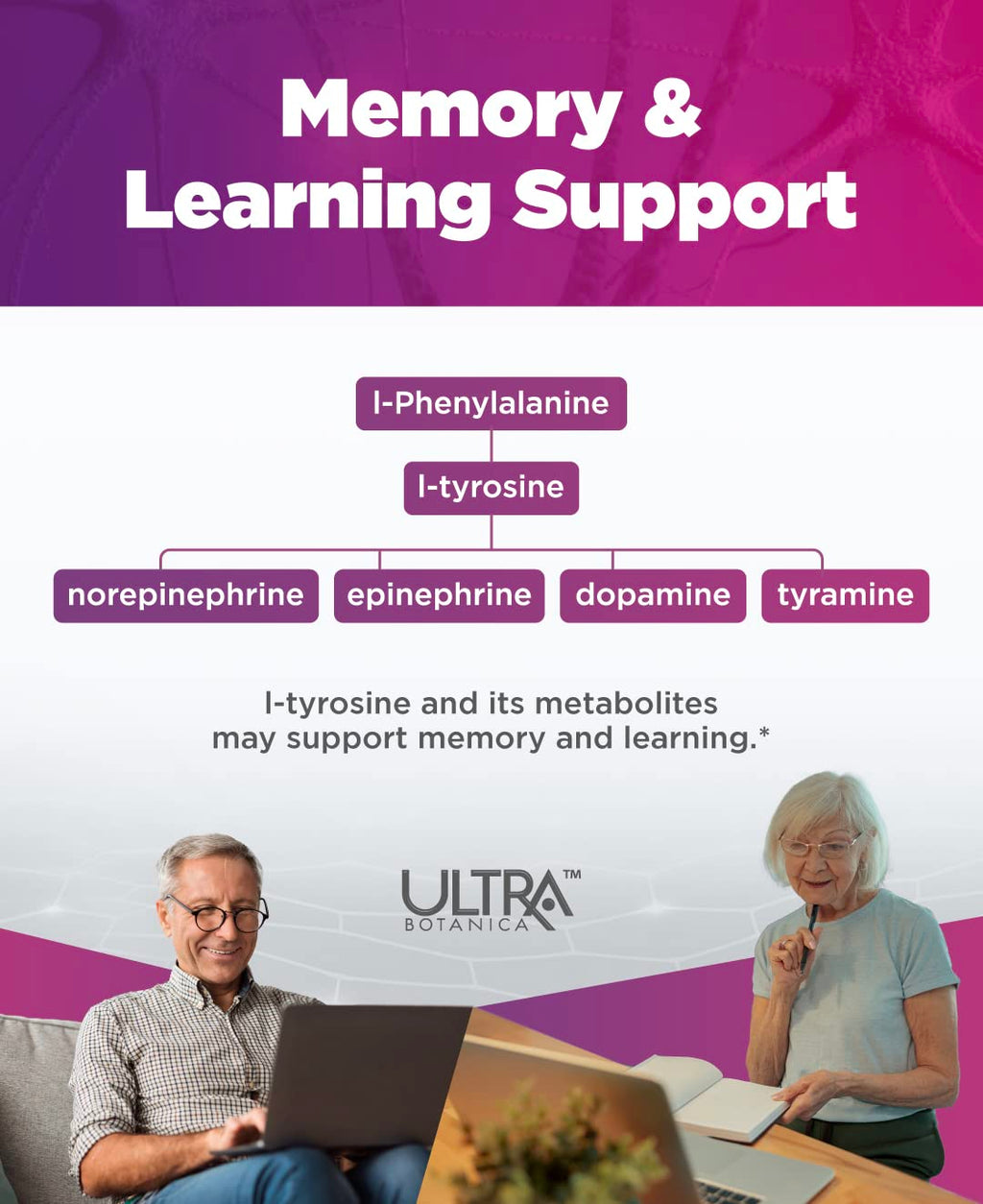 UltraCur Endolyft Focus – Brain Focus & Memory Support (DL-Phenylalanine) – 15 Servings