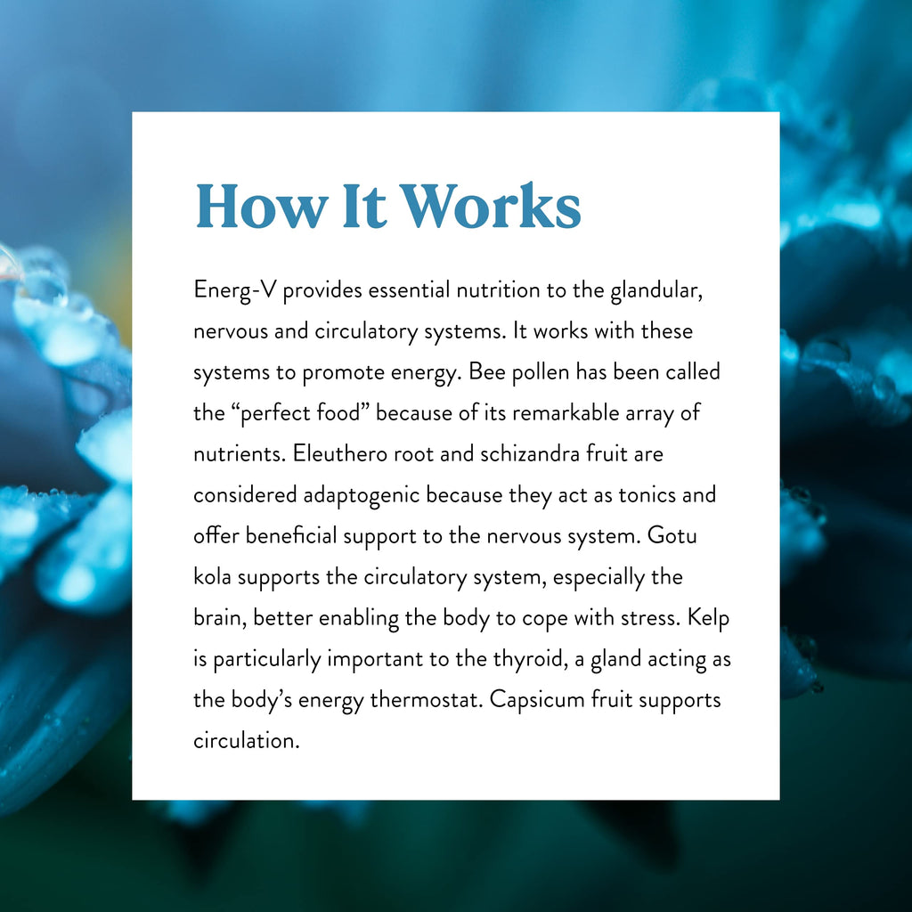 Nature's Sunshine Energ-V 100 Capsules - Natural Energy Support