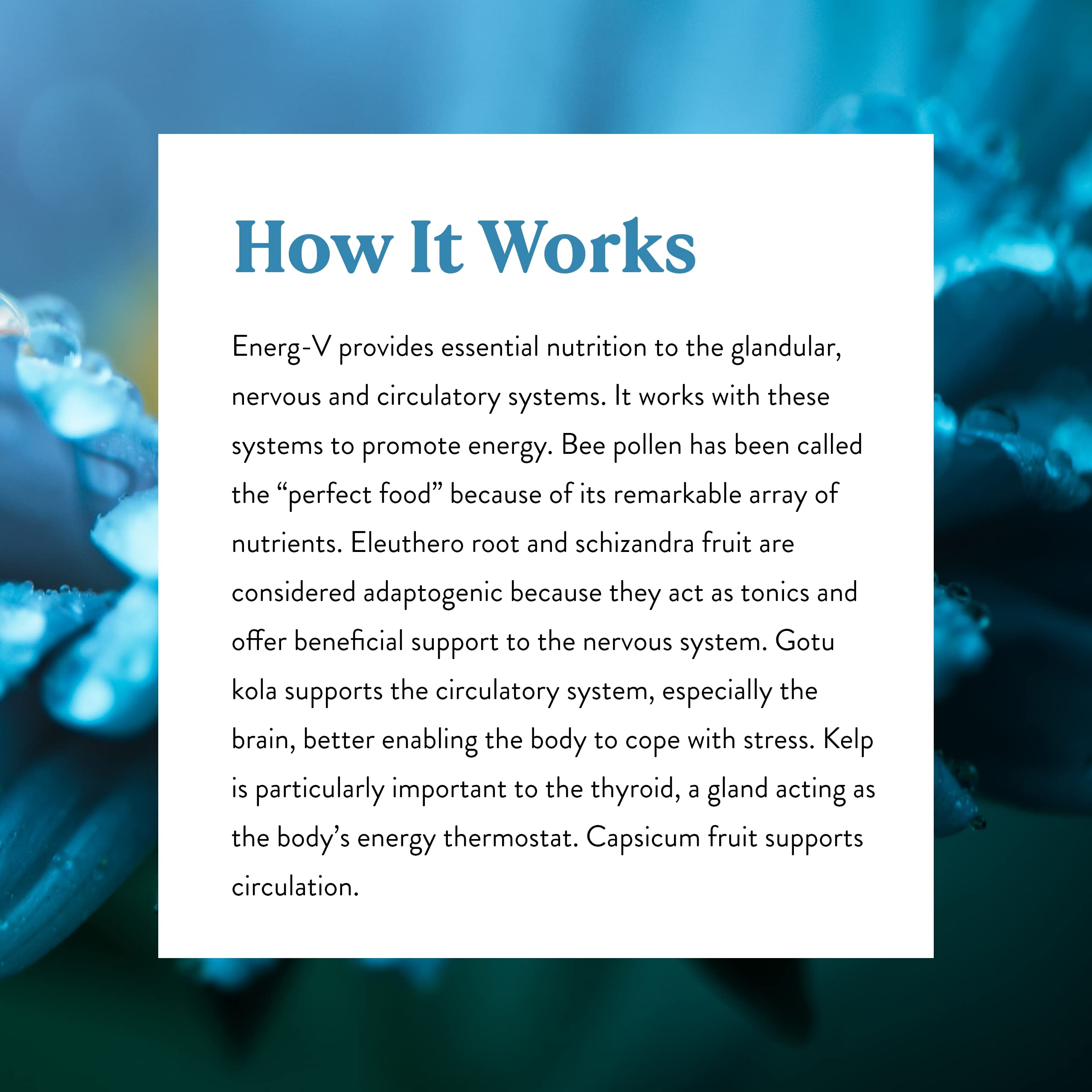 Nature's Sunshine Energ-V 100 Capsules - Natural Energy Support