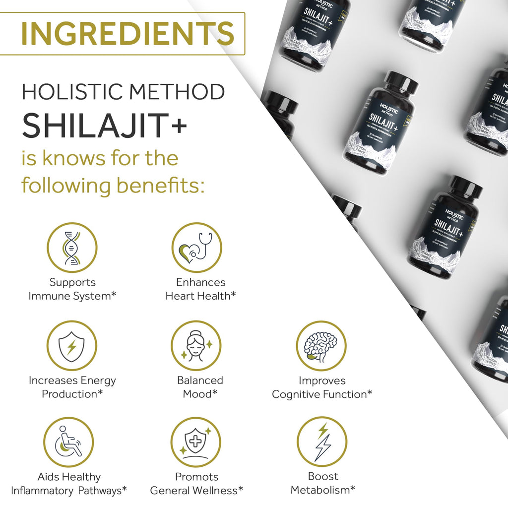Holistic Method Shilajit Capsules - Pure Himalayan, 120 Count (Energy & Immune Support)