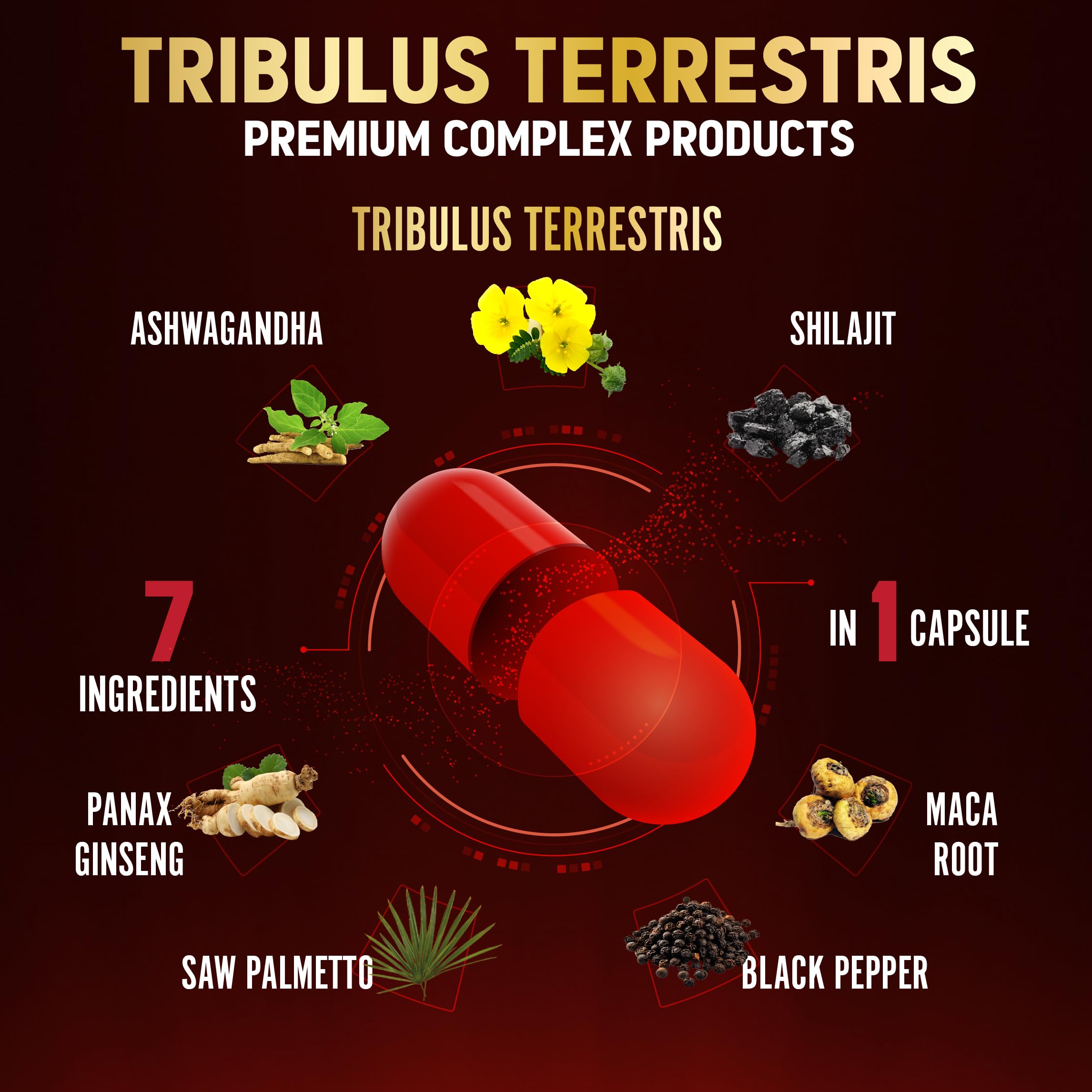 Tribulus Terrestris Capsules with Ashwagandha, Panax Ginseng, Saw Palmetto, Maca, Shilajit — 90 Capsules (3-Month Supply)