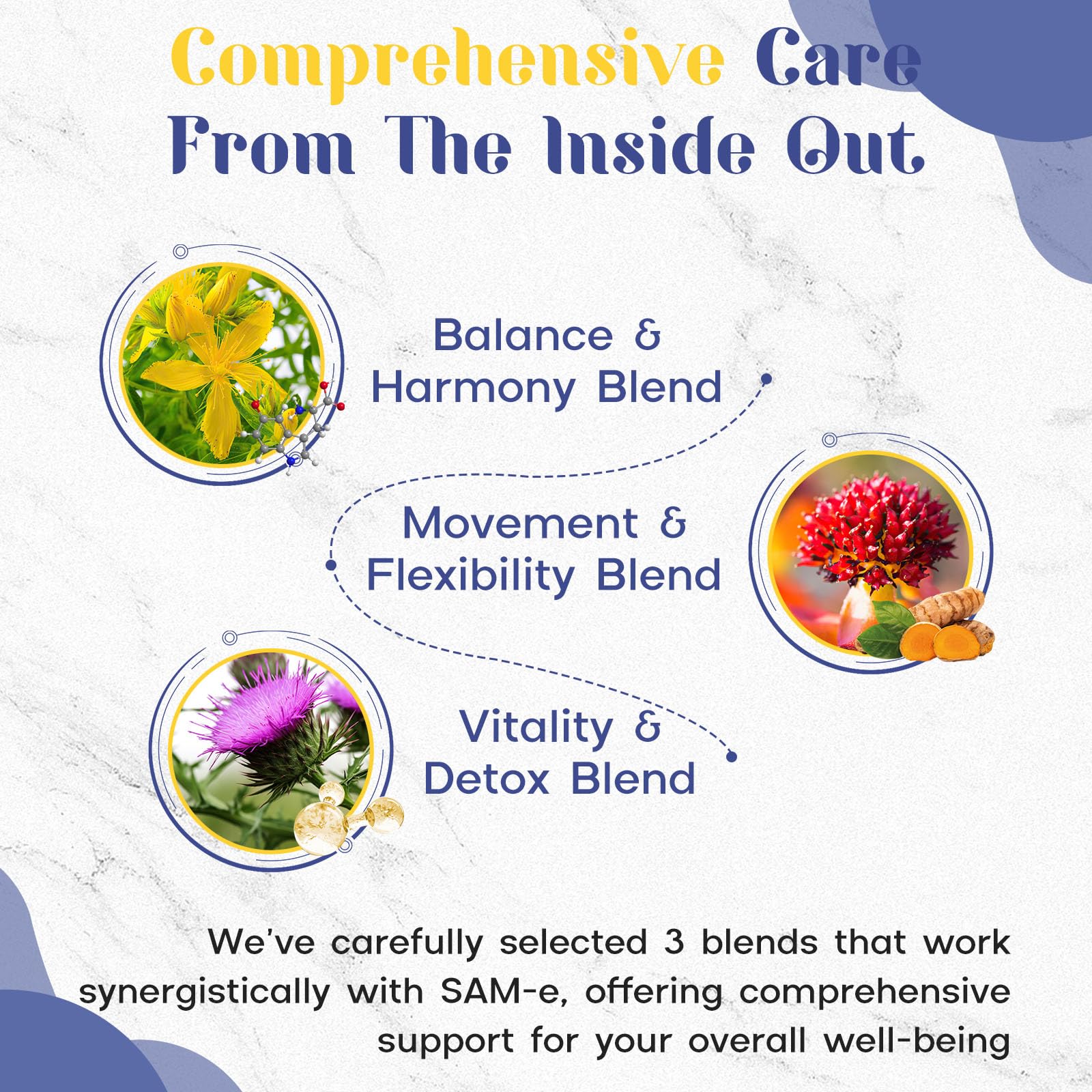 1200 mg SAM-e Supplement - Enteric Coated, Vegan | Brain Mood Joints Liver