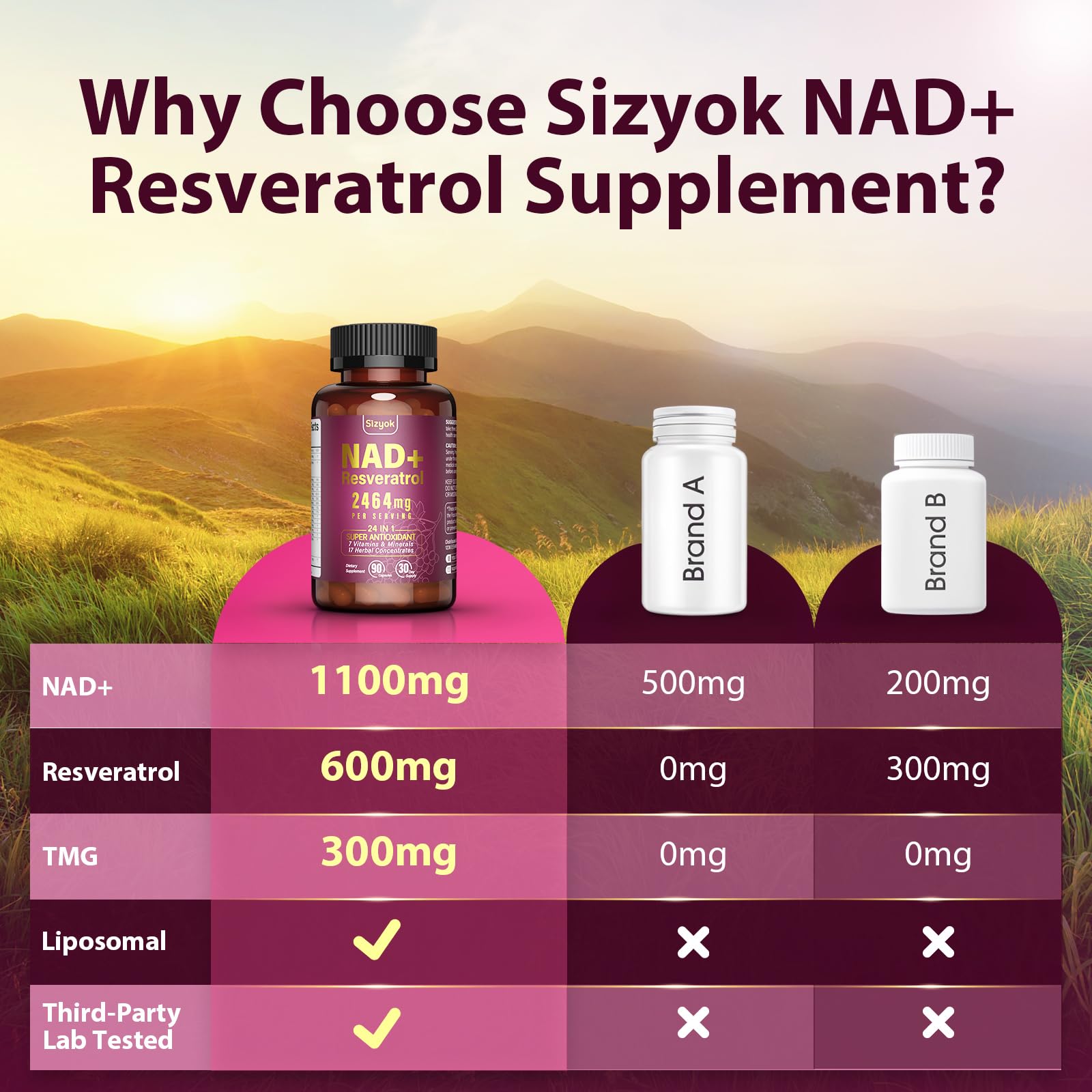 NAD Supplement 1100mg + Resveratrol 600mg | Liposomal NAD+ Capsules with Pterostilbene & Quercetin - Sizyok