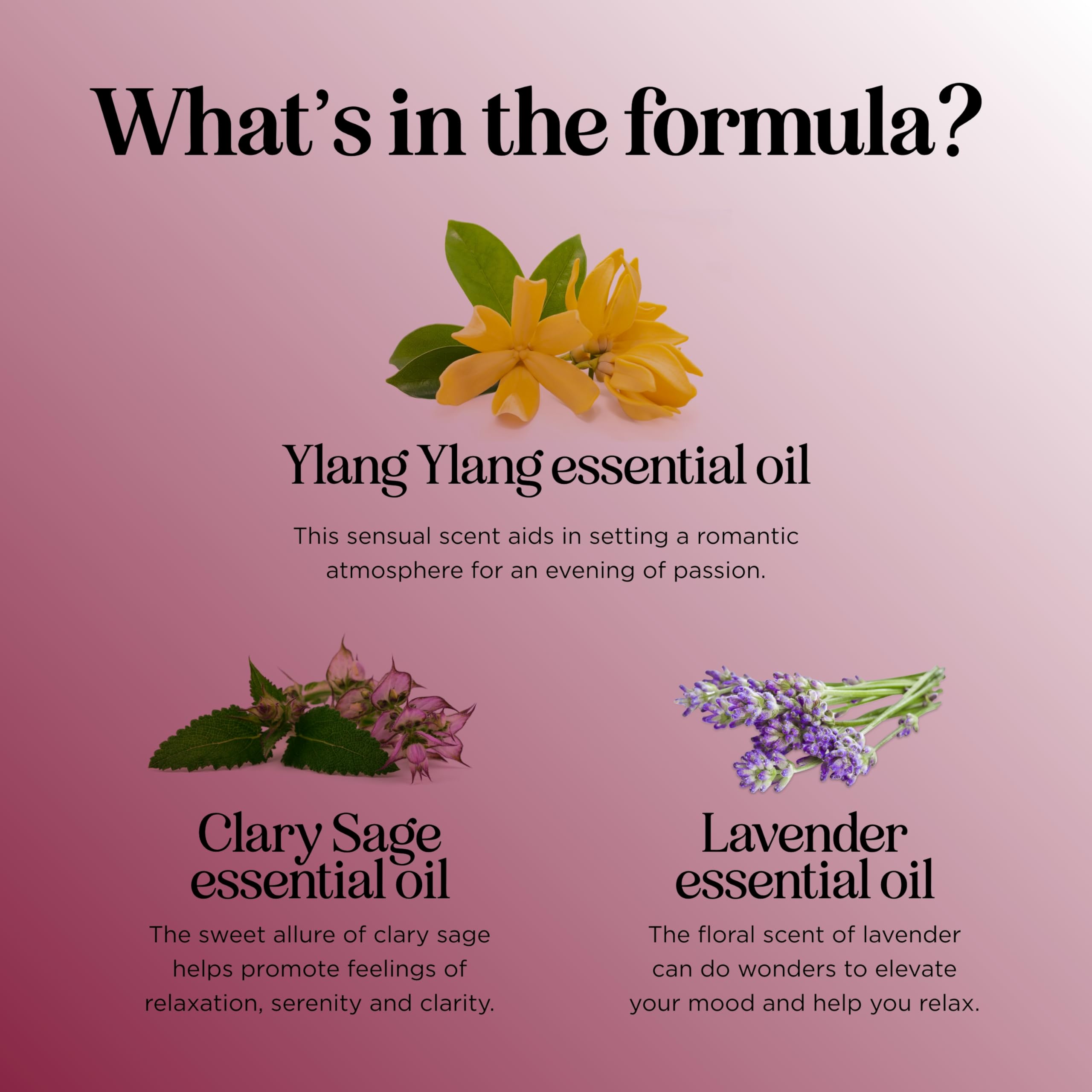 Entice Diffuser Essential Oil Blend – Romantic Lavender, Palmarosa & Ylang-Ylang
