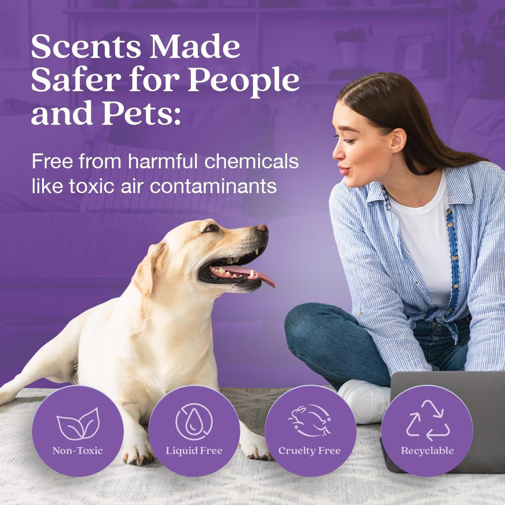 Enviroscent Non-Toxic Air Freshener for Home | Liquid-Free Diffuser | 30+ Day Fragrance Kit (Mango Wood Stand & Scent Stix Refills Lavender Tea & Honey)