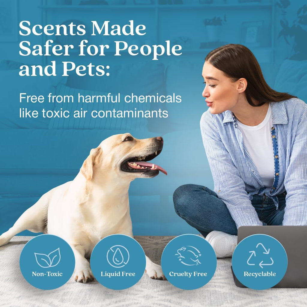 Enviroscent Non-Toxic Air Freshener for Home | Liquid Free Diffuser | 30+ Days | Mango Wood Stand & Scent Stix Refill