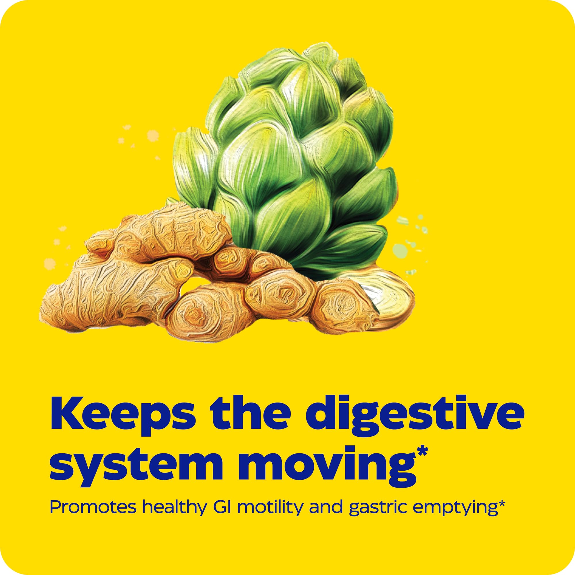 Enzymedica Gut Motility – Digestive Transport Support, 30 Count