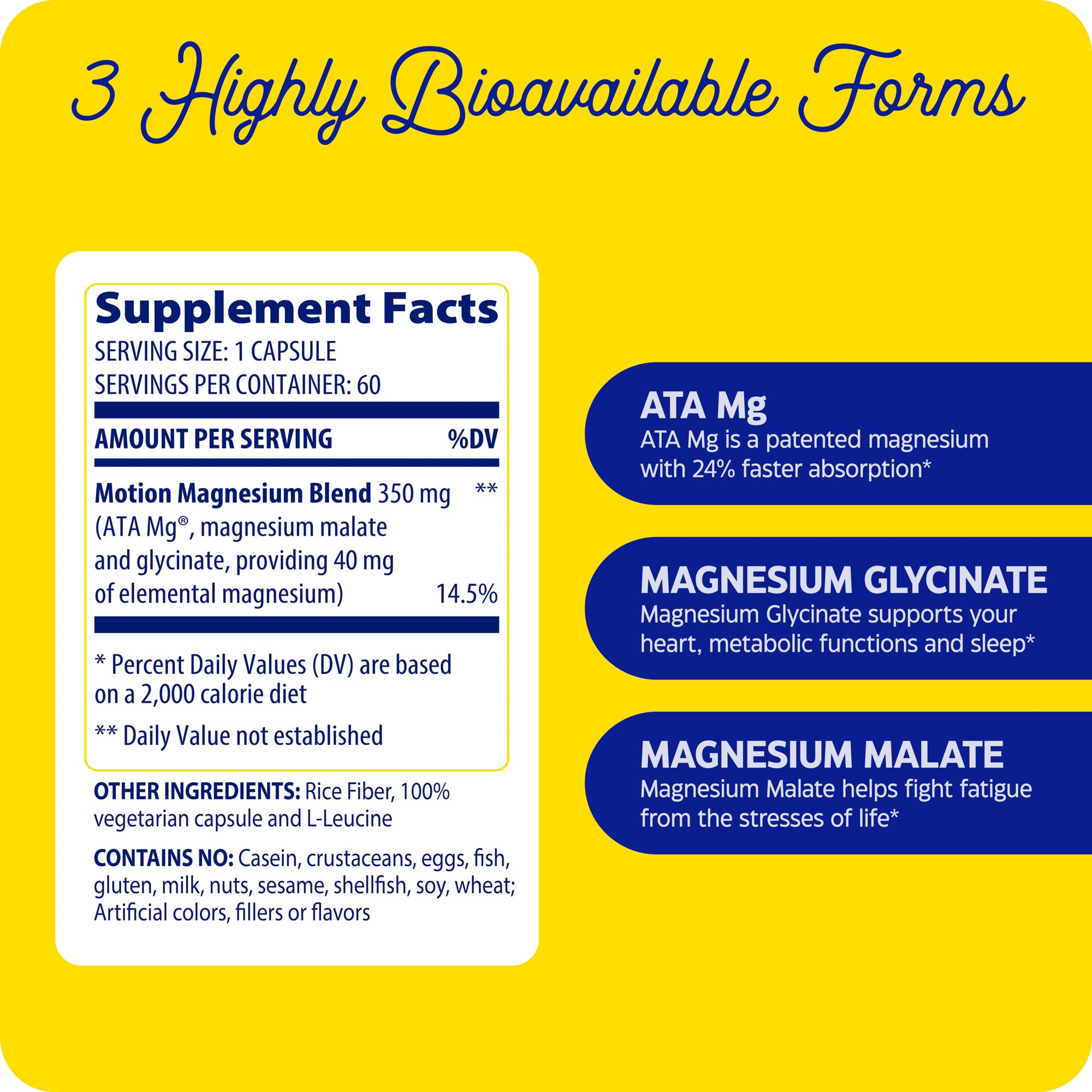 Enzymedica Magnesium Motion – 60 Count | 3 Forms Magnesium (ATA Mg, Glycinate, Malate) for Muscles & Bones