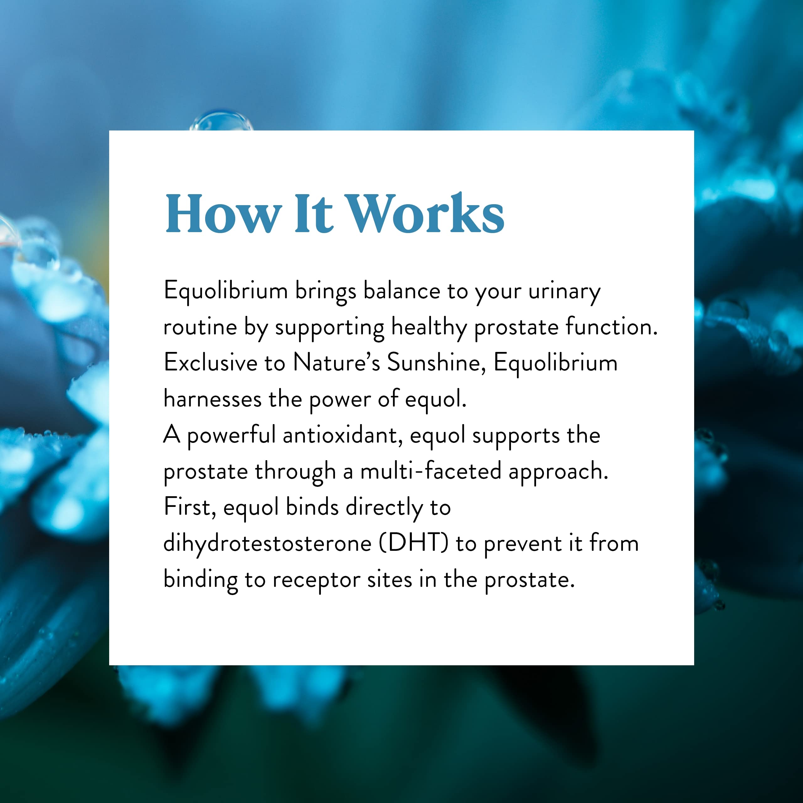 Nature's Sunshine Equolibrium 60 Capsules | Prostate Support