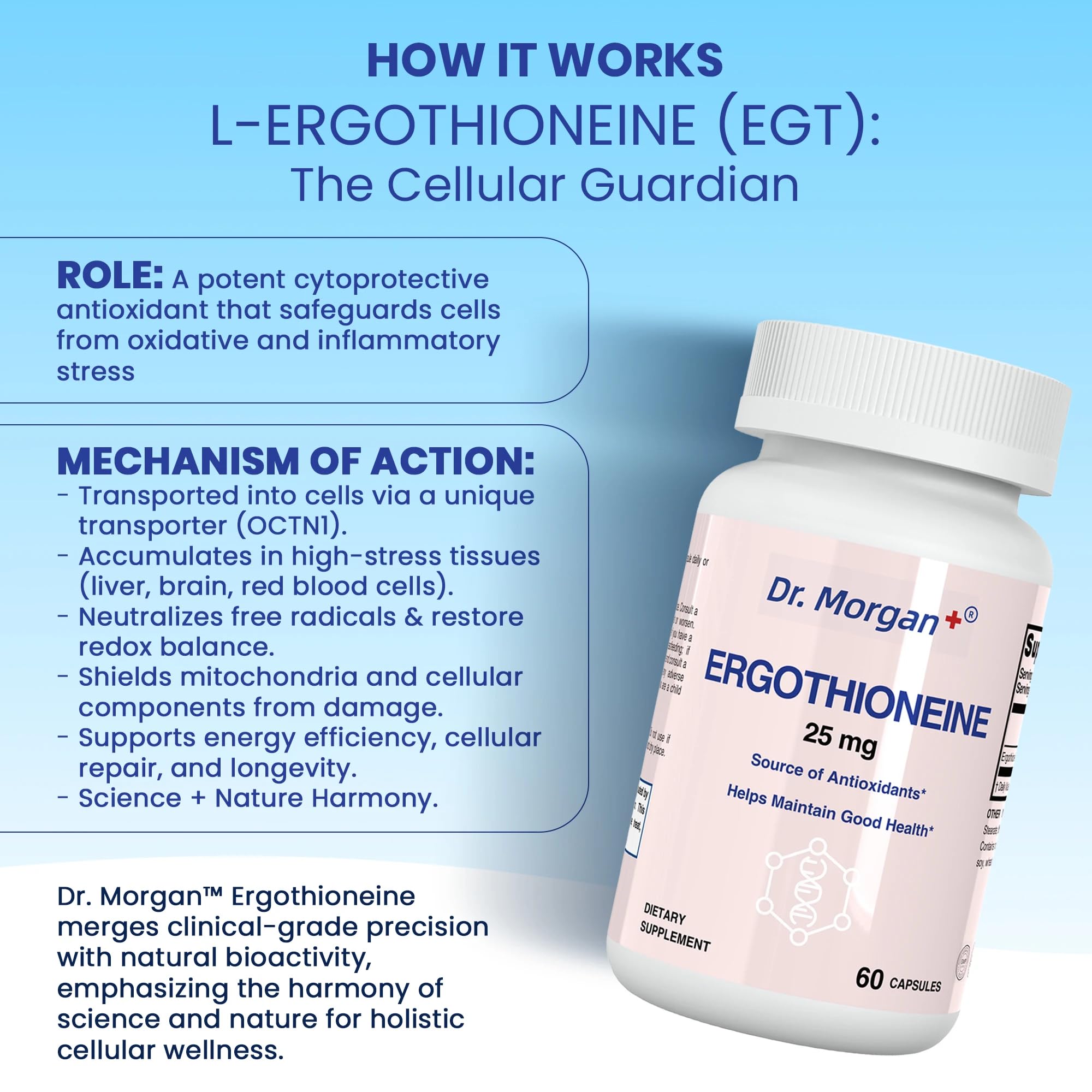 Dr. Morgan Ergothioneine Supplement – 99% Pure Antioxidant Support, Mitochondrial & Cellular Health, 60 Capsules, Made in Canada