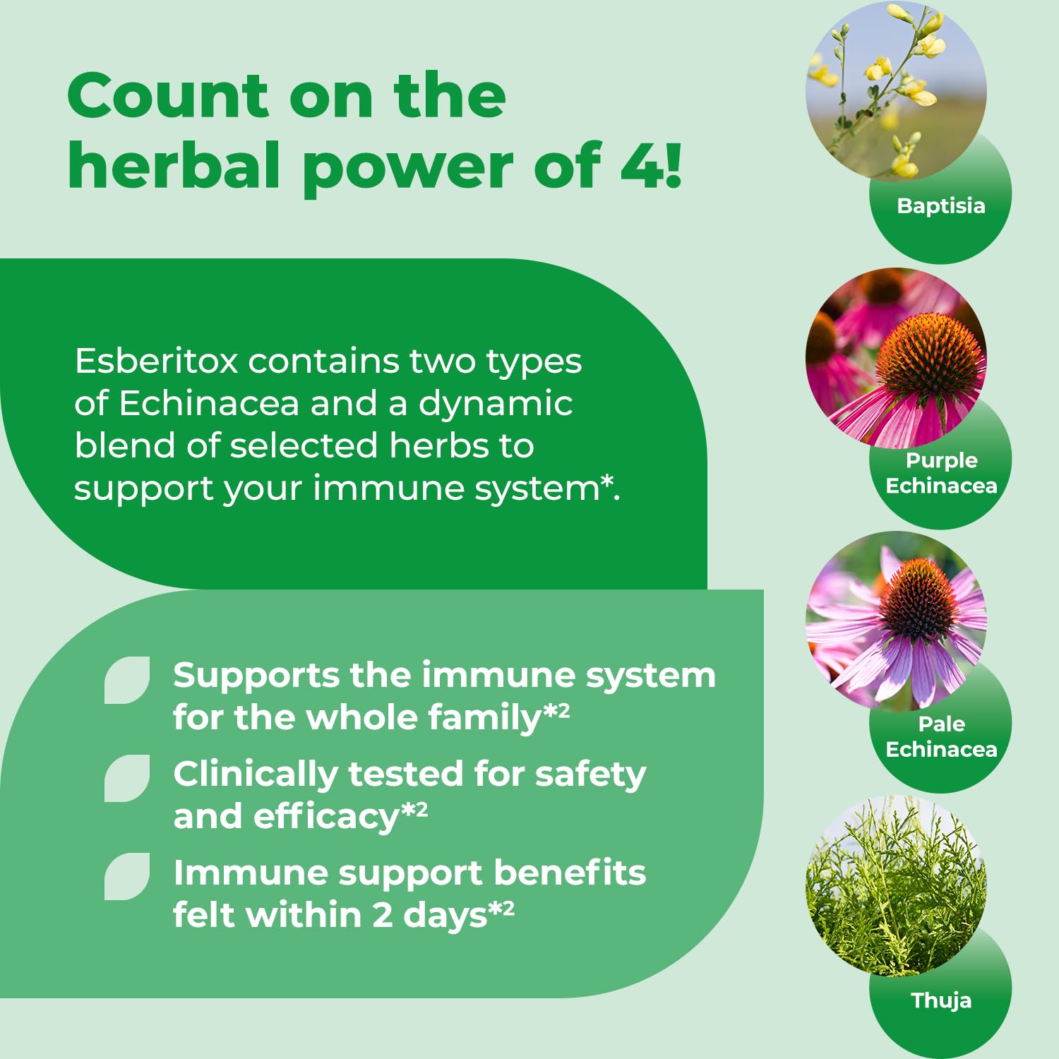 ESBERITOX Supercharged Echinacea – 200 Tablets | Immune Support – Made in Germany
