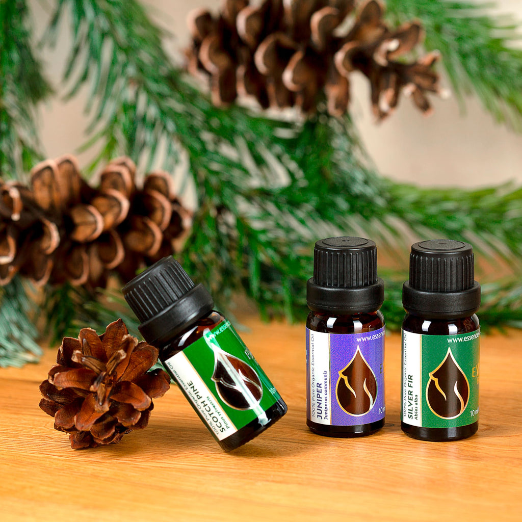 Essences Bulgaria Organic Juniper Essential Oil – 10ml | 100% Pure & Therapeutic Grade
