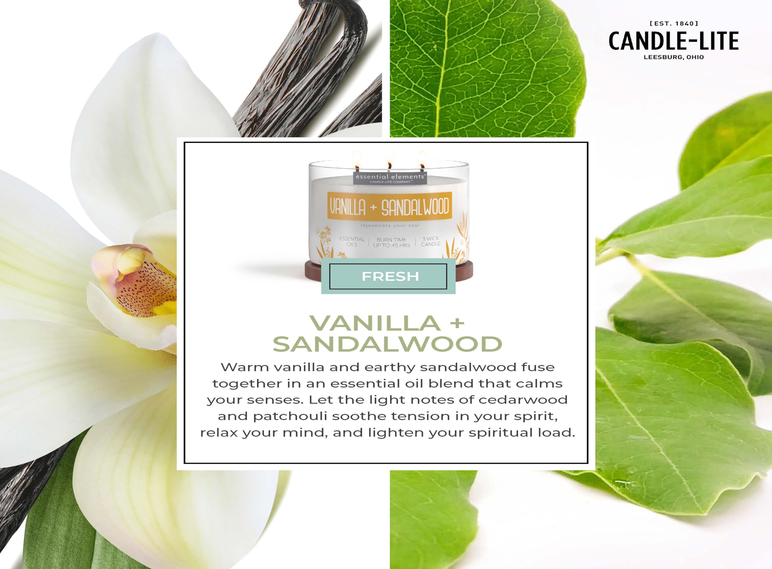 Essential Elements Vanilla & Sandalwood 3-Wick Aromatherapy Candle – 14.75 oz