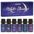 Essential Oil Blends Set – ARVIDSSON Natural Diffuser Oils for Well-Being Gift