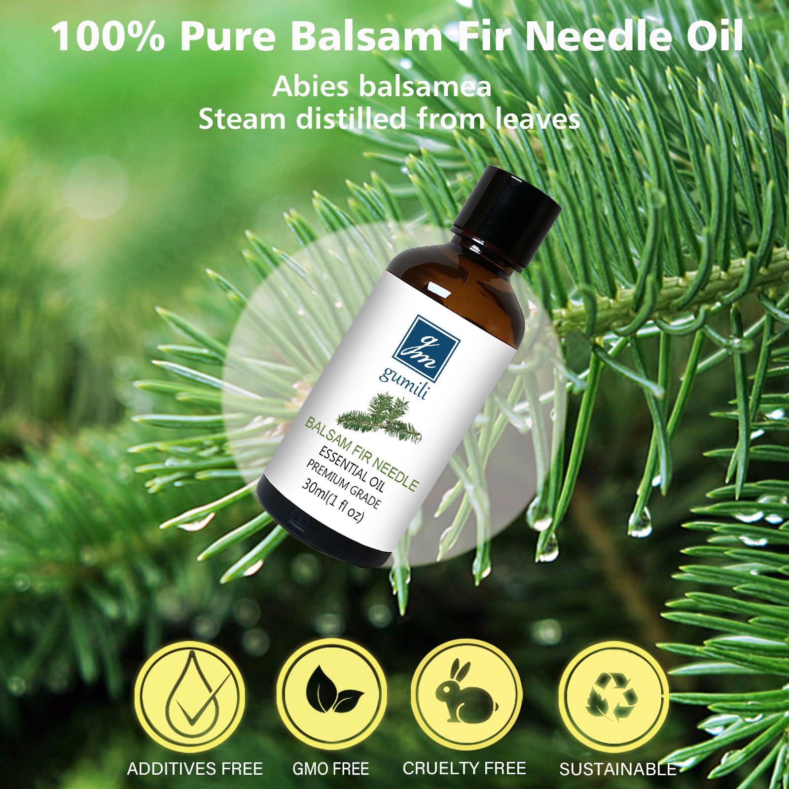 GM Gumili Balsam Fir Needle Essential Oil – 30ml/1fl oz – Pure, Undiluted, Canada-sourced