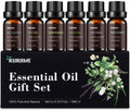 Essential Oil Set - Top 6 Aromatherapy Diffuser Oils (Peppermint, Lavender, Lemongrass, Eucalyptus, Rosemary, Tea Tree) 10ml