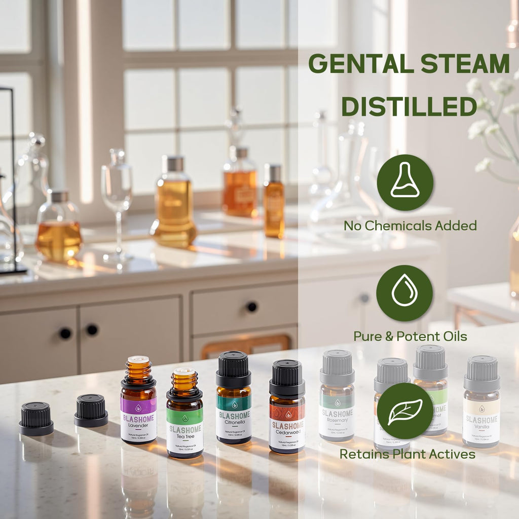 12-Pack Essential Oils for Diffusers – Sleep & Refreshing Scents | Gift Box