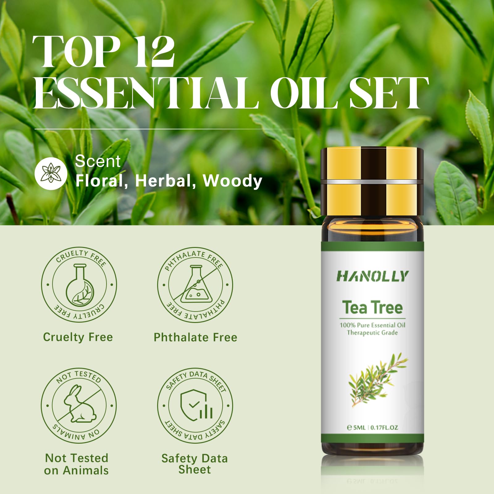Essential Oils Set - 24x5ml Premium Aromatherapy Kit for Diffuser & Skincare