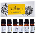 Essential Oils Set Pure Essentials - 6 Aromatherapy Oils Gift Set (10ml)