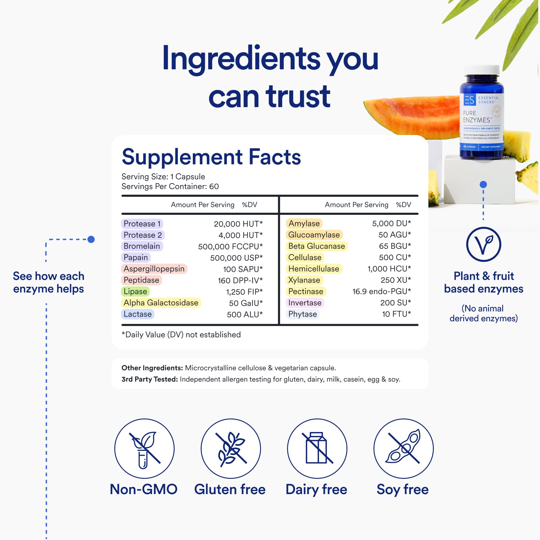 Essential Stacks Digestive Enzymes - Gluten/Dairy/Soy Free, 60 Caps