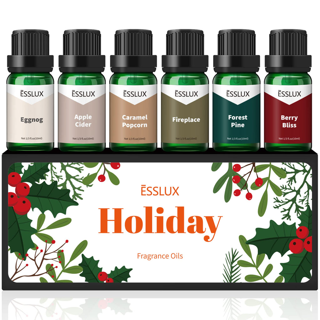 Fragrance Oil Holiday Gift Set – 6x10ml Scented Oils for Diffuser, Candle & Soap
