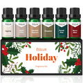 Fragrance Oil Holiday Gift Set – 6x10ml Scented Oils for Diffuser, Candle & Soap