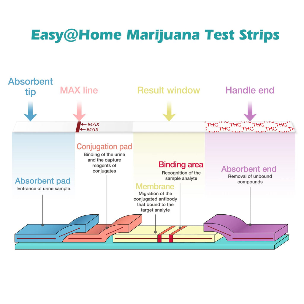 Easy@Home THC Drug Test Strips - 10 Pack Urine Test Kit (50 ng/mL) ESTH-115