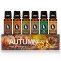 Eternal Essence Oils Autumn Set – 6 Premium Fragrance Oils 10ML